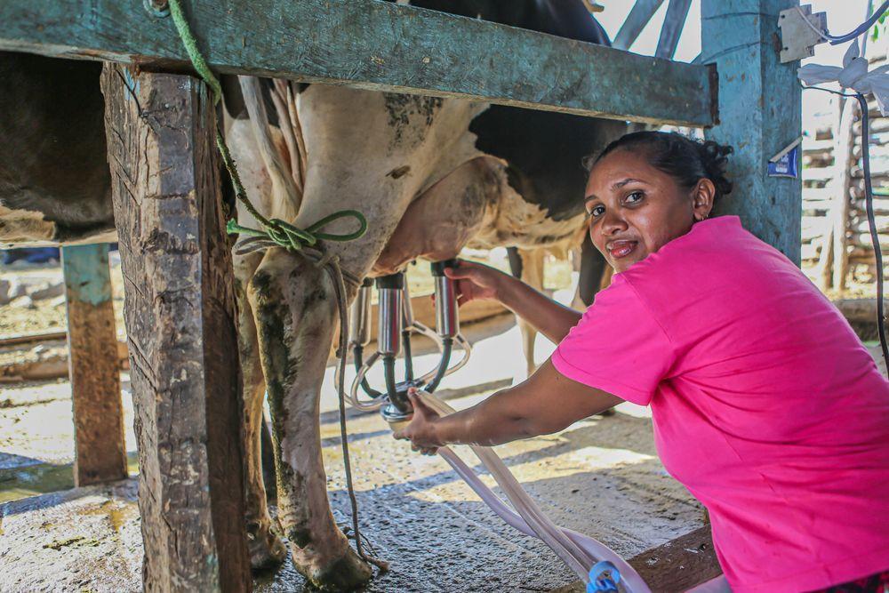 Pequenos produtores são beneficiados com o PPA Leite