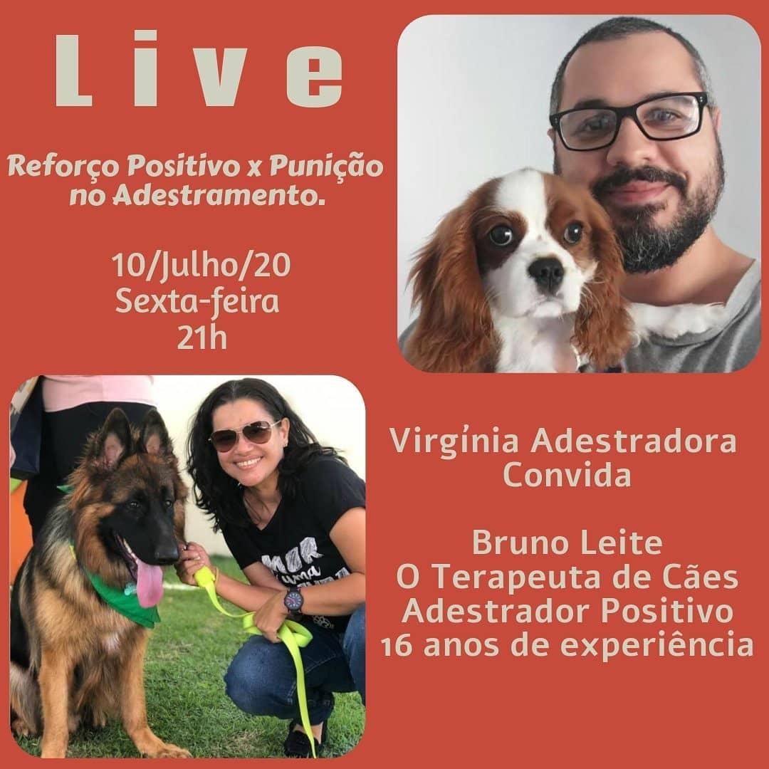 Uma questão de cachorros nas redes sociais