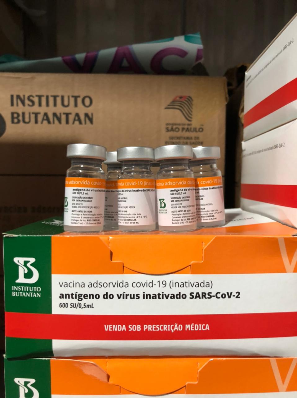 Lote com 47 mil doses de vacinas contra a Covid-19 chega ao Piauí