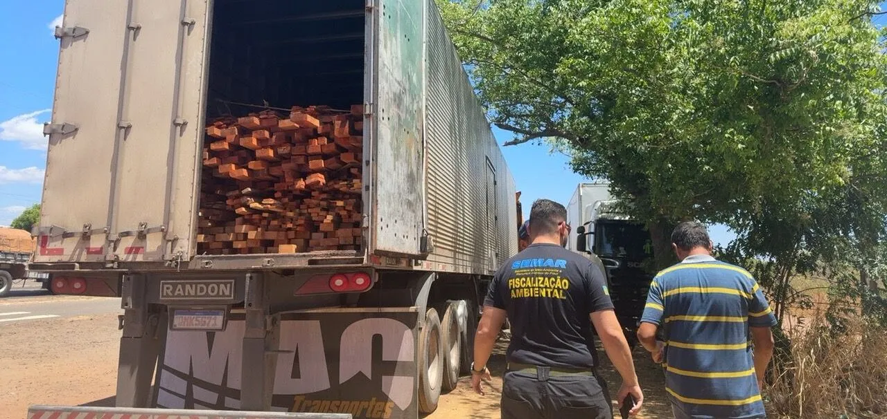 Piauí registra apreensão histórica de madeira ilegal durante operação ambiental em Picos
