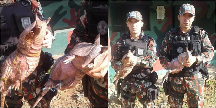 Animais apreendidos serão libertados pela Companhia Militar