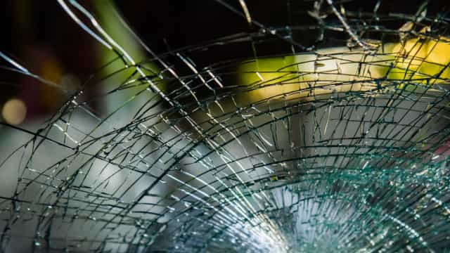Idosa sobrevive após ser atingida na cabeça por tartaruga 'voadora'