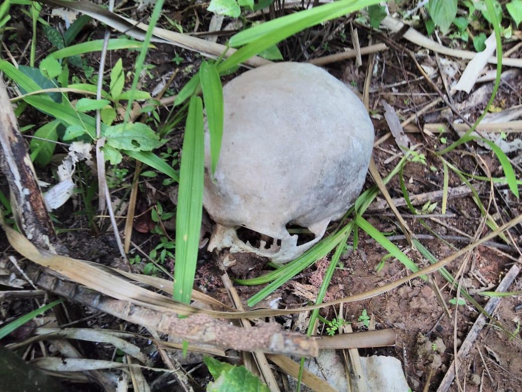 Ossada Humana encontrada em Teresina