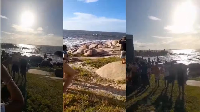 Praia Pedra do Sal, em Parnaíba