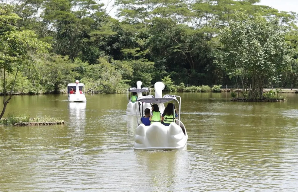 Passeio de pedalinho