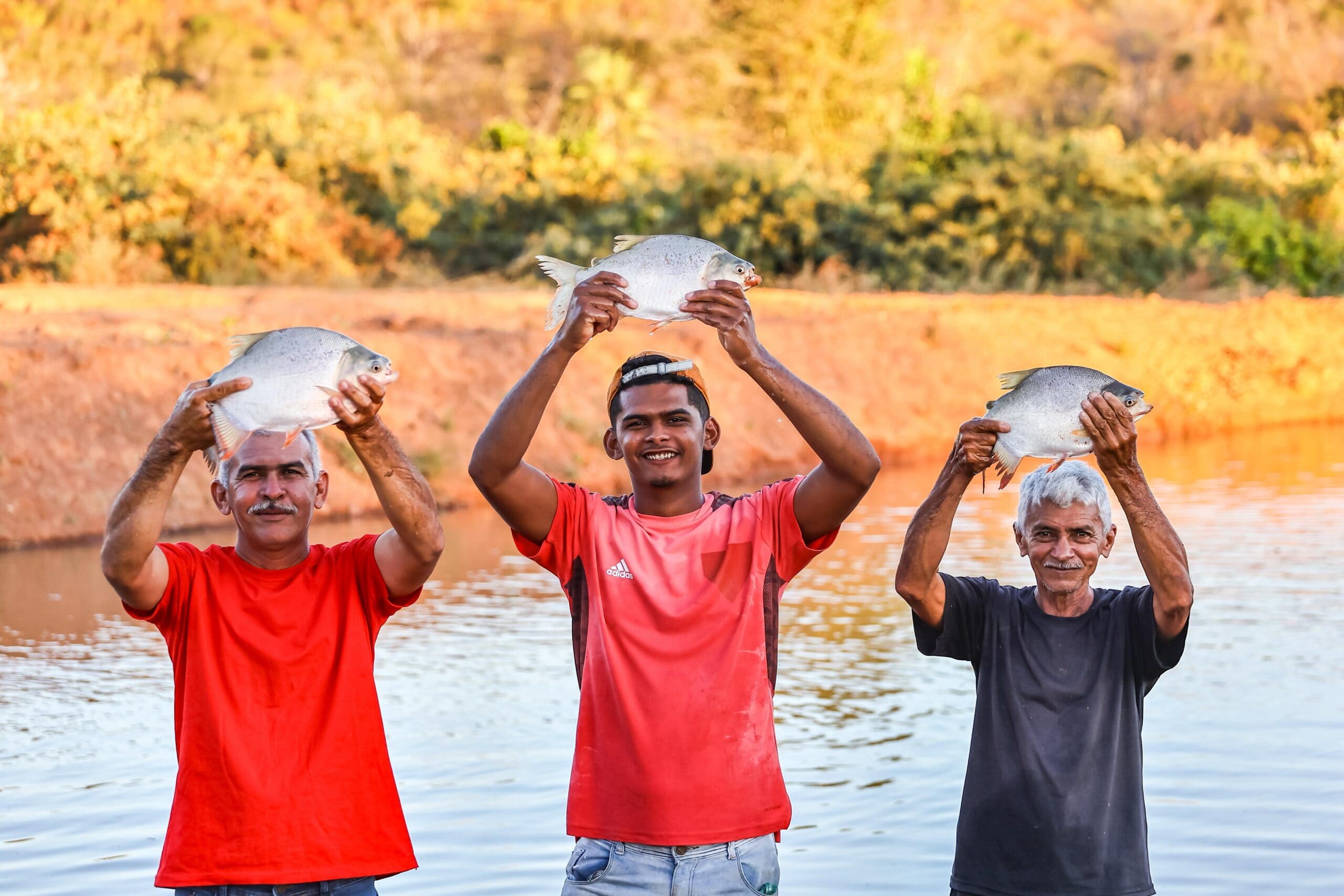 Produção de peixes dispara no Piauí e fortalece economia da agricultura familiar
