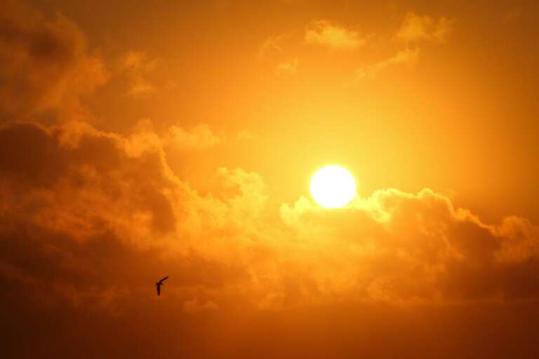 Piauí terá calor intenso e baixa umidade nesta segunda-feira (31)