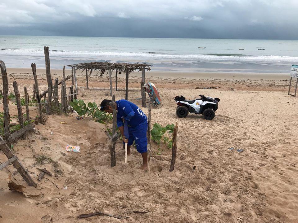 Equipe trabalhando na identificação dos ninhos para evitar que turistas prejudiquem o local