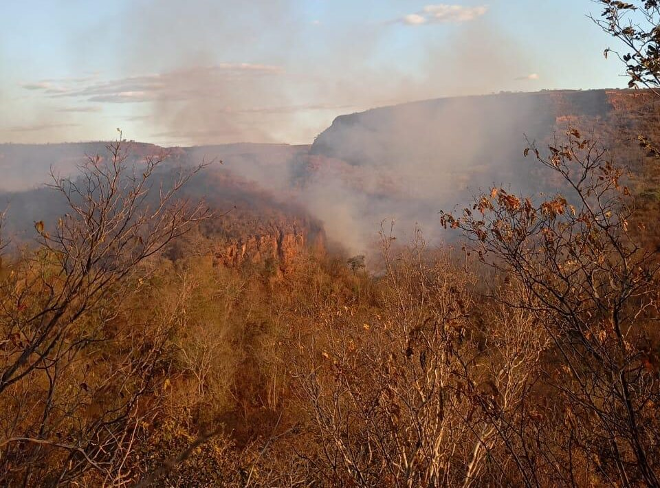 Pacto Piauí Sem Queimadas fortalece a prevenção e combate a incêndios florestais