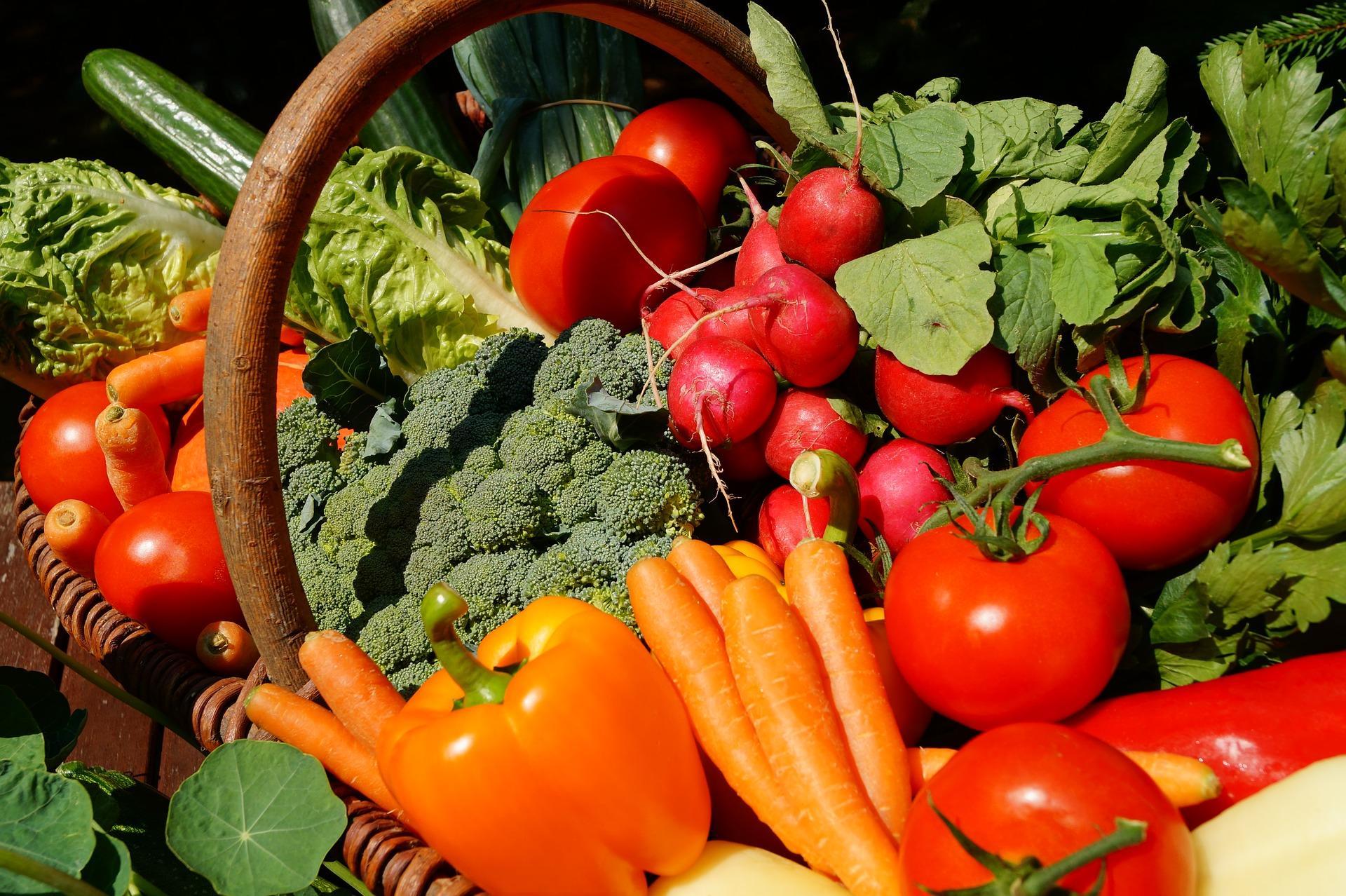 Reaproveitamento Alimentar
