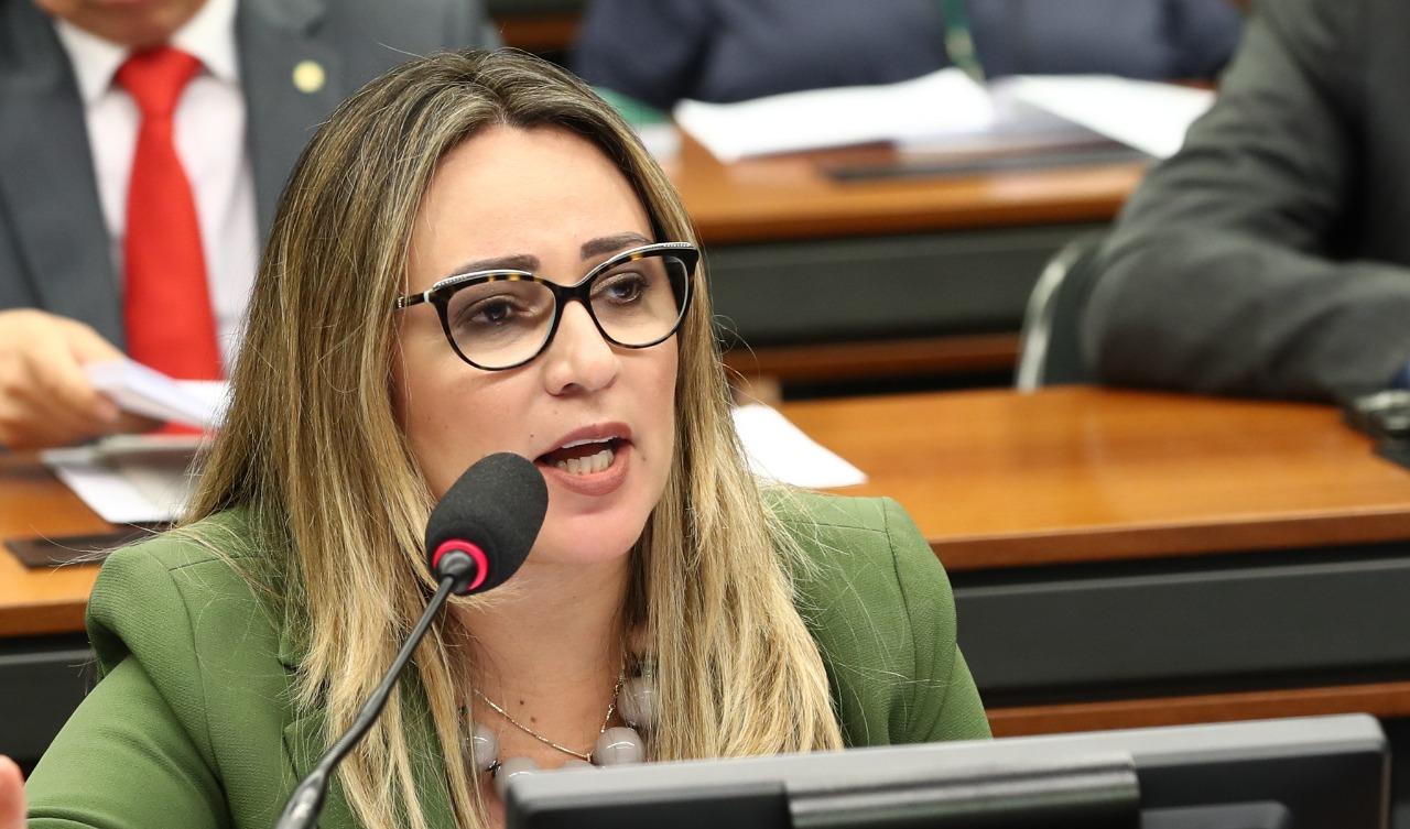 Rejane Dias na Câmara Federal