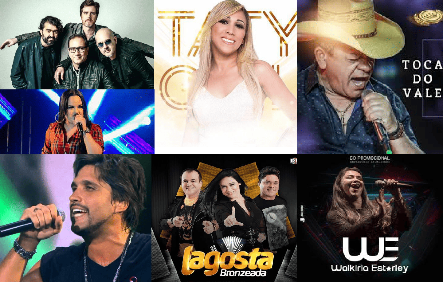 Atrações musicais do Festival Sabor Maior