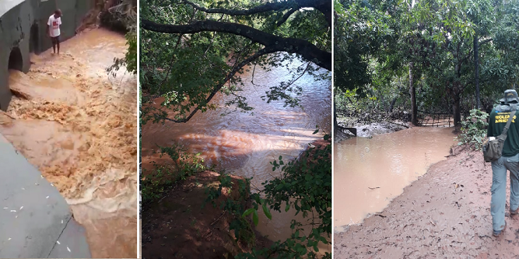 A água do rio mudou a cor e apresentou cheiro forte