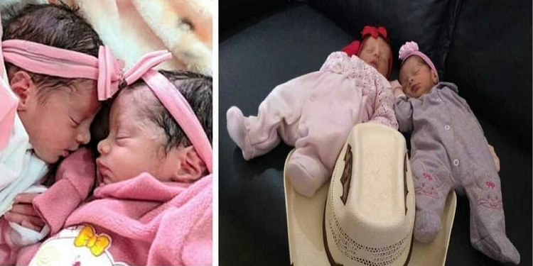 Recém-nascidas morrem atacadas por cachorro