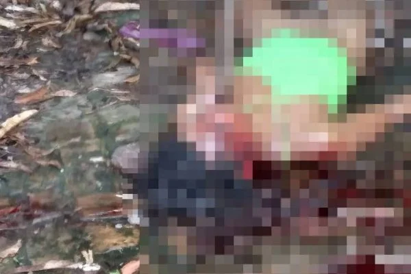 Travesti é assassinada em Timon