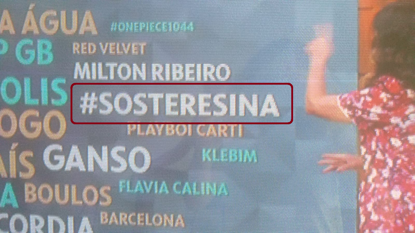 Fátima Bernardes comenta #SOSTERESINA