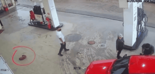 Motorista atropela cachorro em posto de combustíveis em Parnaíba