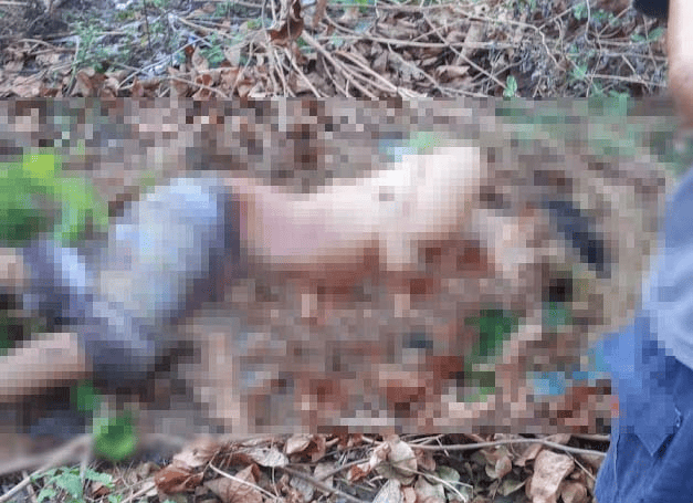 Jovem é assassinado em Cajueiro da Praia
