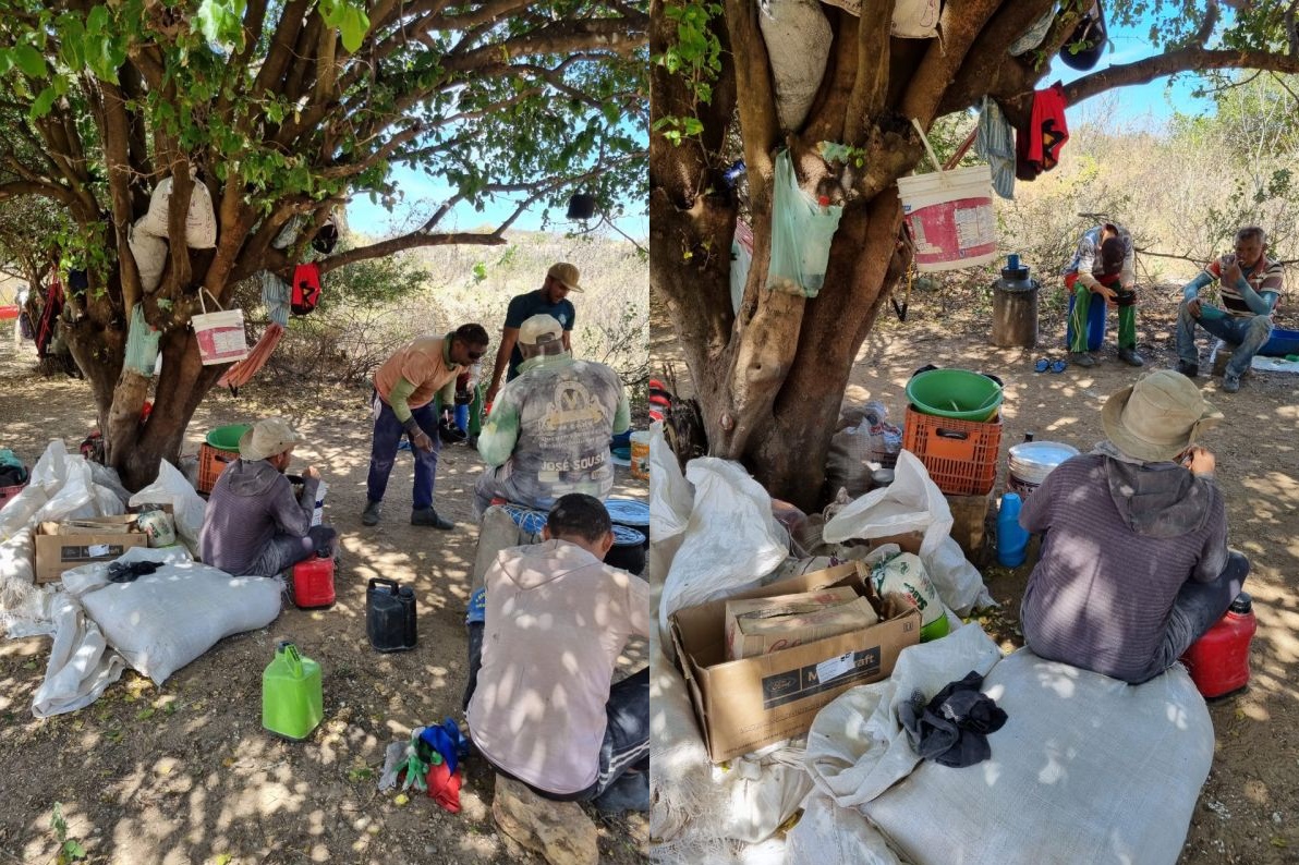 Trabalhadores resgatados em Patos do Piauí