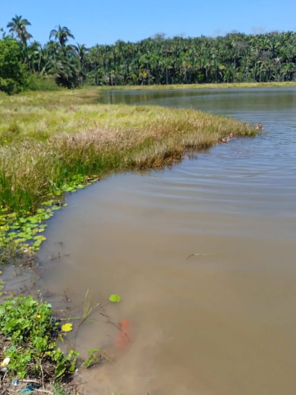 Lagoa onde o adolescente se afogou