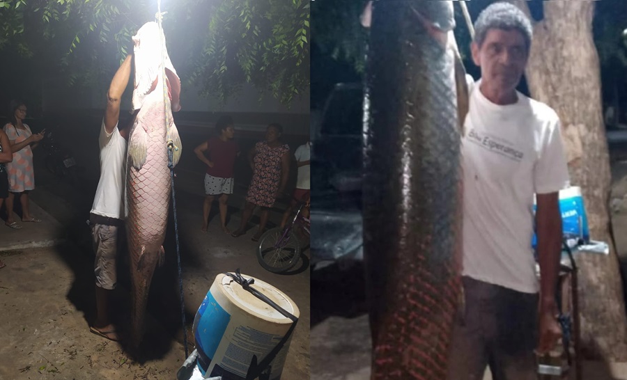 Vários moradores foram ver pessoalmente o pirarucu gigante capturado no Rio Parnaíba
