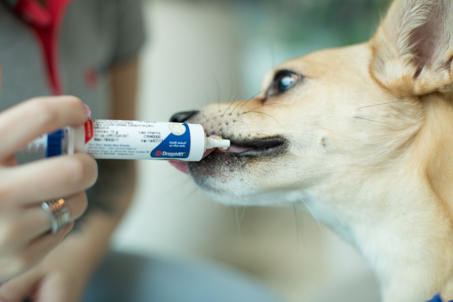 Suplementos manipulados ganham espaço na medicina veterinária