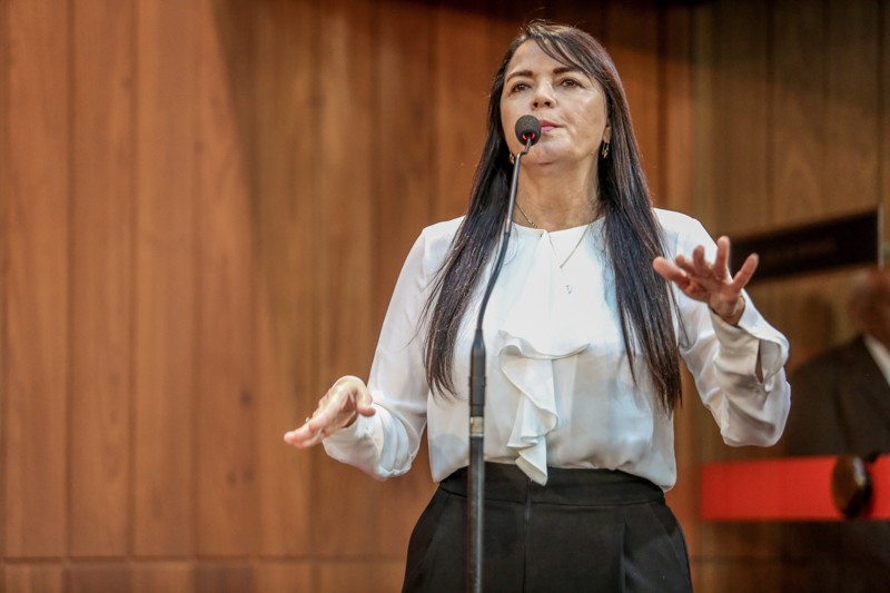 Deputada Teresa Brito