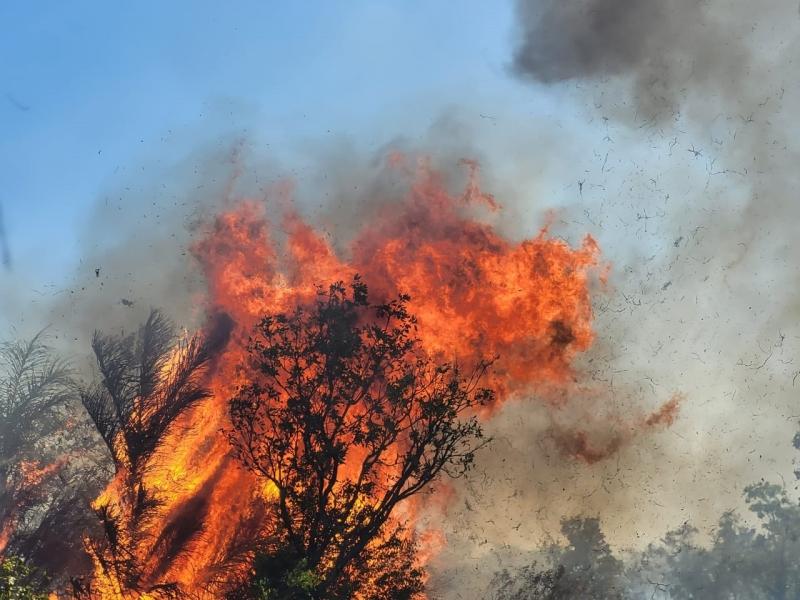 Incêndio atinge Parque Serra Santo Antônio