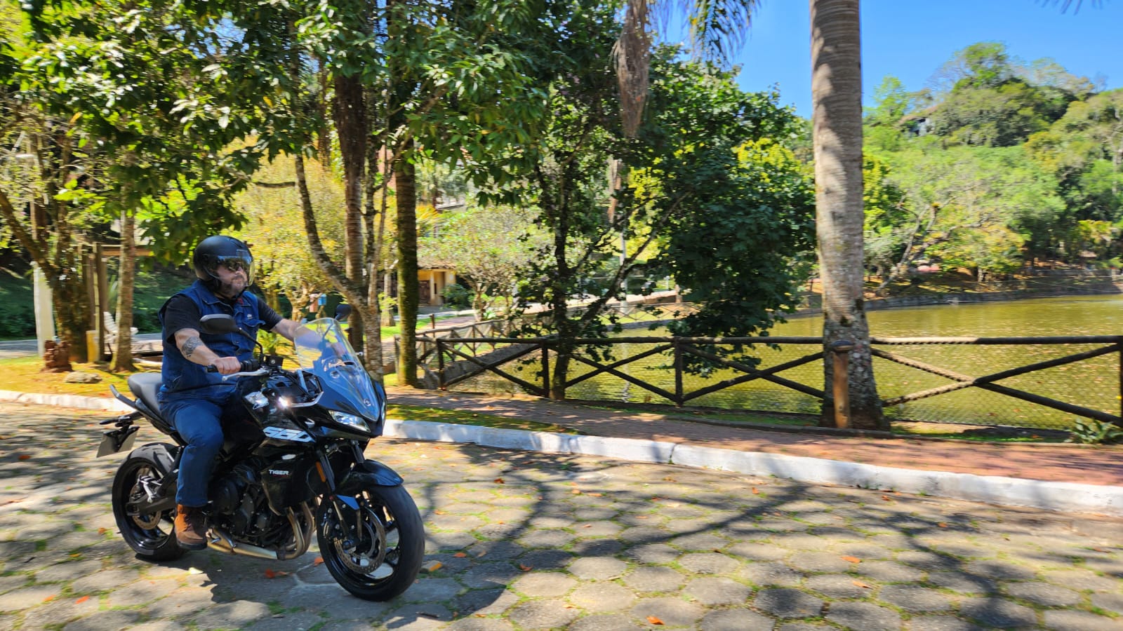 Tiger Sport 660 combina desempenho esportivo com praticidade no uso diário