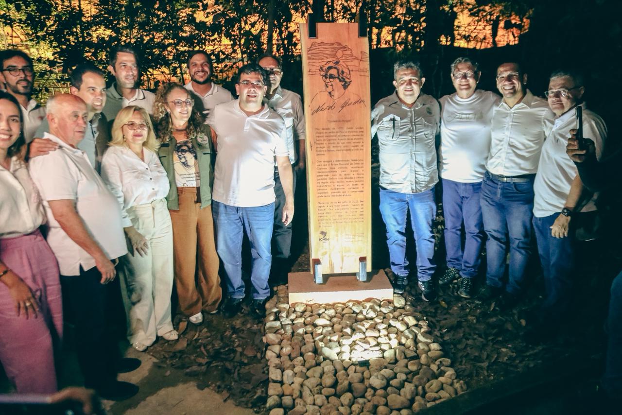 Totem em homenagem a Niède Guidon