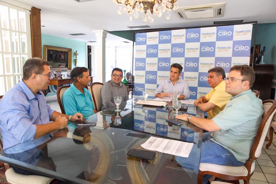 Vereadores reuniram-se com o presidente nacional do PP, senador piauiense Ciro Nogueira, nesta terça-feira (21)