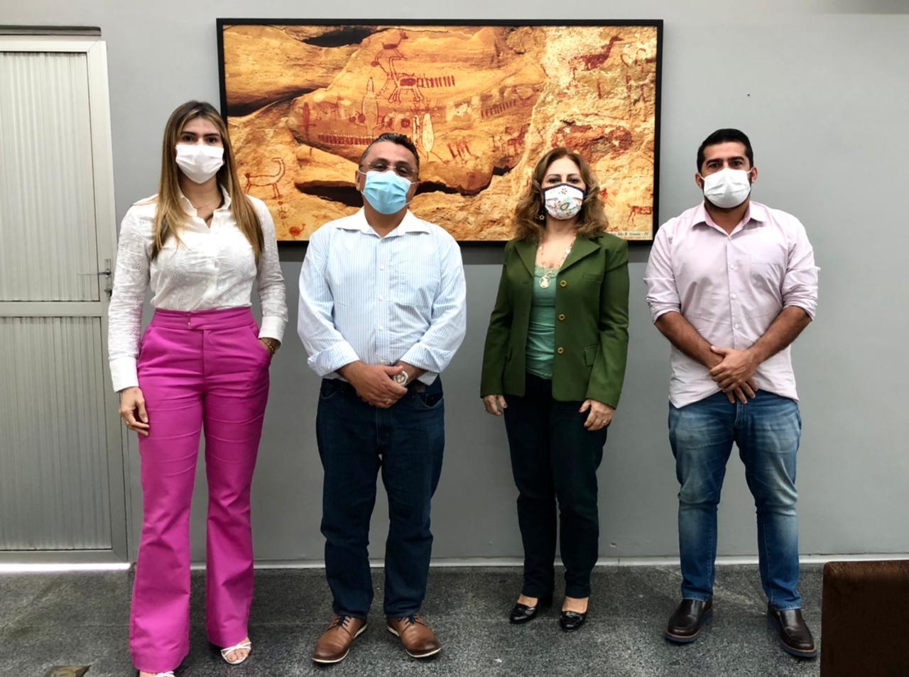 Vereadores querem auxílio do TCE/PI para a CPI dos Transportes