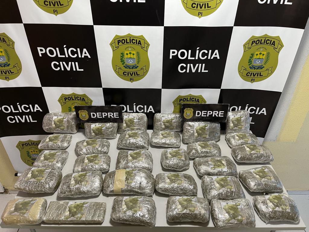 Polícia apreendeu 20 quilos de maconha