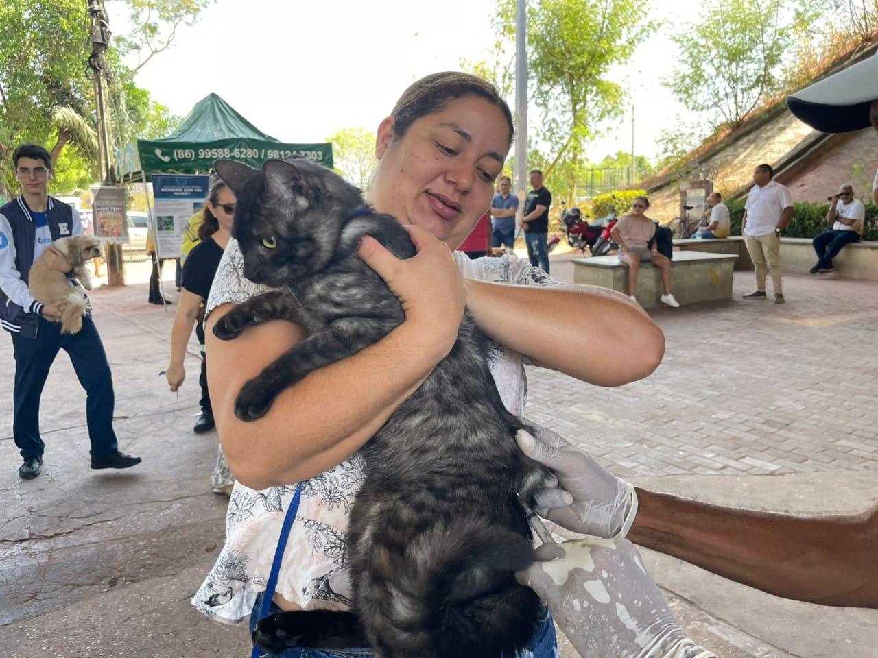 Veja onde vacinar cães e gatos contra a raiva neste sábado (9) em Teresina