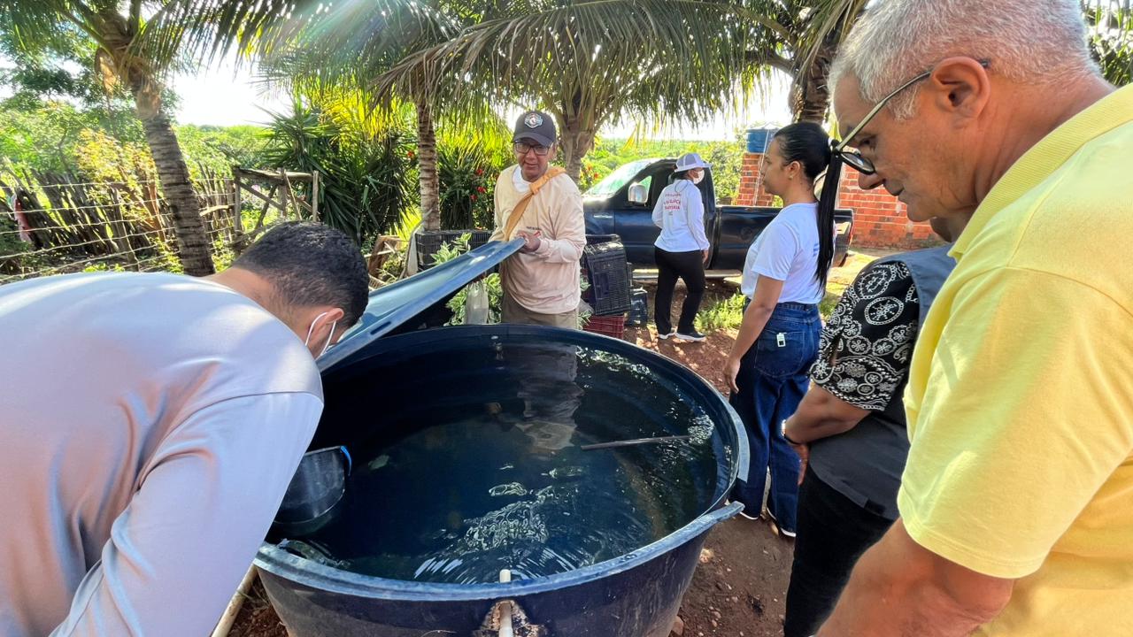 Dengue: 28 municípios do Piauí estão em alto risco e 85 em situação de alerta