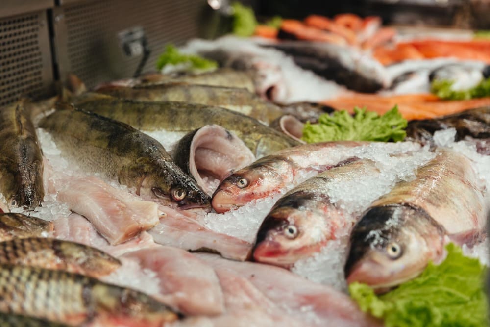 Pescados na Semana Santa exigem atenção redobrada para evitar alergias e intoxicações