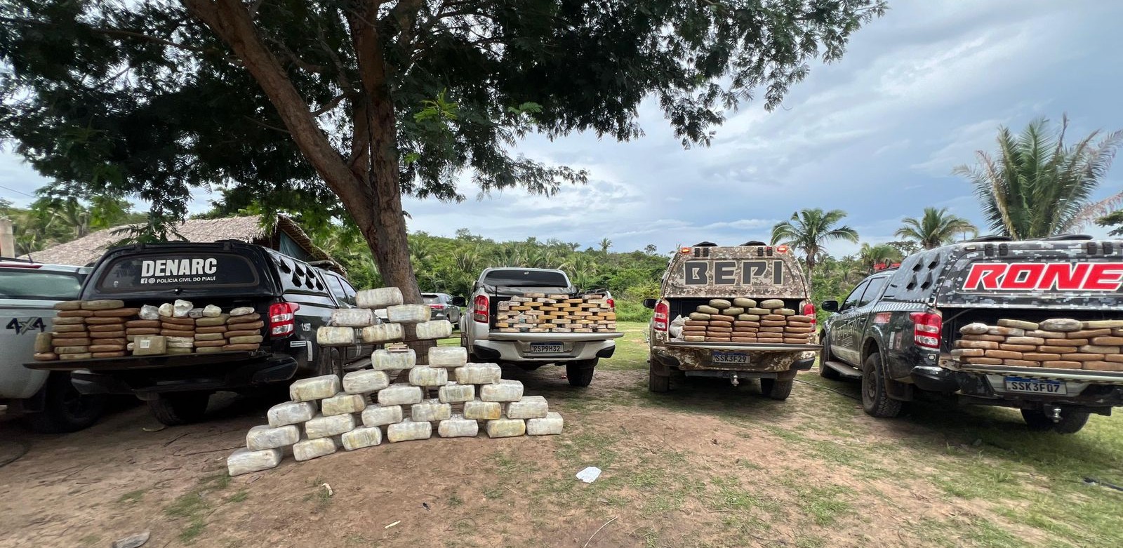 Drogas apreendidas em sítio na zona rural de Caxias - apreensão foi de meia tonelada de entorpecentes