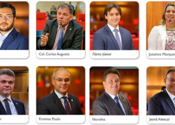 Povo elege 30, mas o Piauí tem 39 deputados estaduais; 9 estão licenciados do mandato