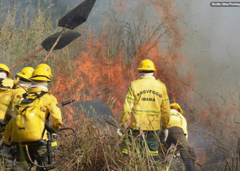Governo Federal agiliza recontratação de profissionais para combate a incêndios