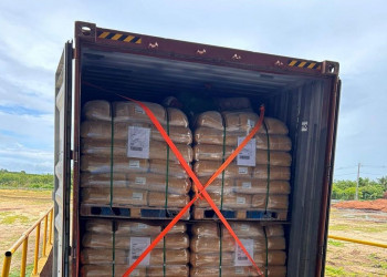 Piauí exporta mais de 20 toneladas de cera de carnaúba para Amsterdam, na Holanda