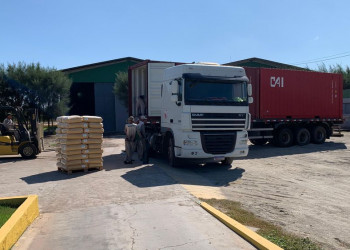 Piauí exporta 30 toneladas de cera de carnaúba para o Japão