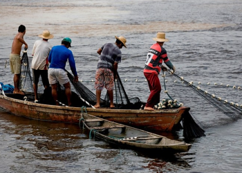 Piauí é destaque na produção de peixes e no registro de pescadores profissionais