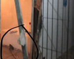 Presos com Covid atacam policiais penais com foice em tentativa de fuga no Piauí