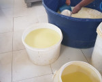 Fábrica é multada em R$ 20 mil no Norte do Piauí por produzir queijo em manilhas e baldes