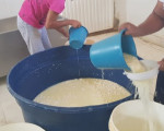 Fábrica é multada em R$ 20 mil no Norte do Piauí por produzir queijo em manilhas e baldes