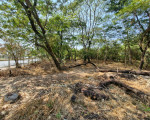 Parque Floresta Fóssil