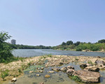 Rio Poti