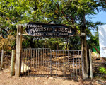 Entrada da Floresta Fóssil