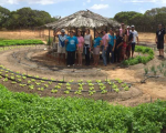 Cinco projetos do NE estão entre 10 soluções reconhecidas pelo impacto socioambiental positivo