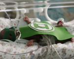 Bebês internados na UTI são fantasiados no Hospital Regional Tibério Nunes